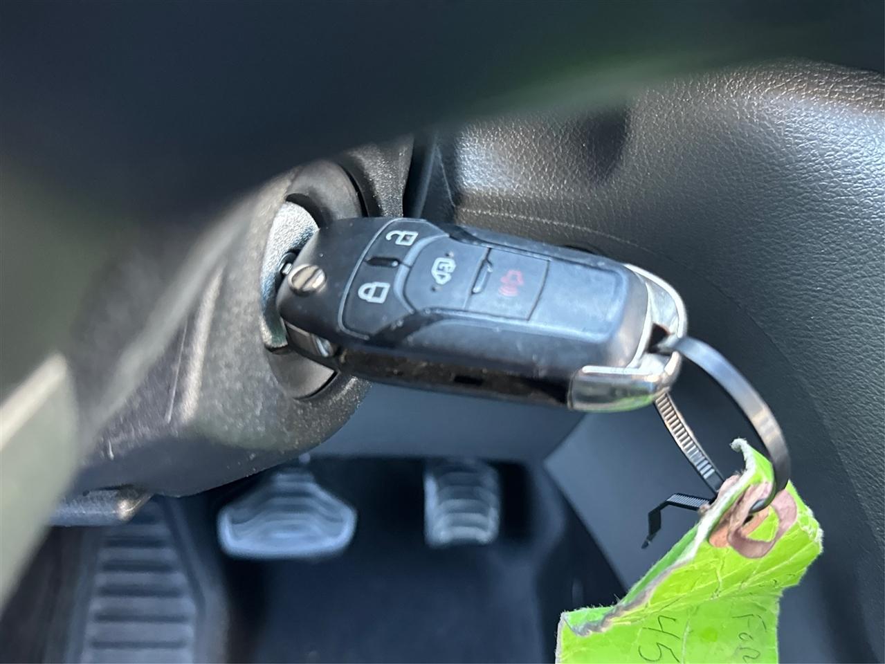 Ford Transit Passenger Wagon T-350 148" Low Roof XLT RWD 2023