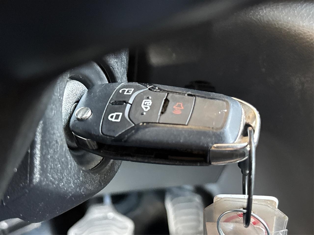 Ford Transit Cargo Van T-250 148" Hi Rf 9070 GVWR RWD 2023