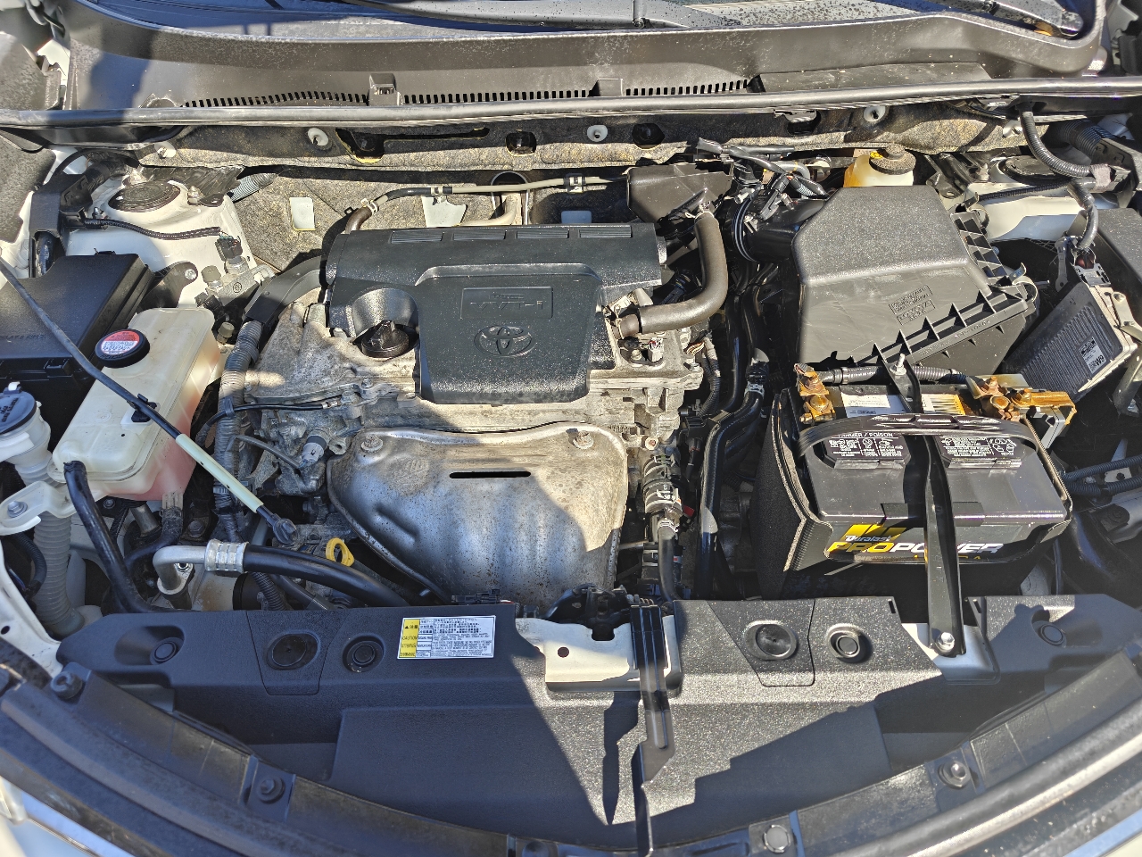 Toyota RAV4 LE FWD 2016