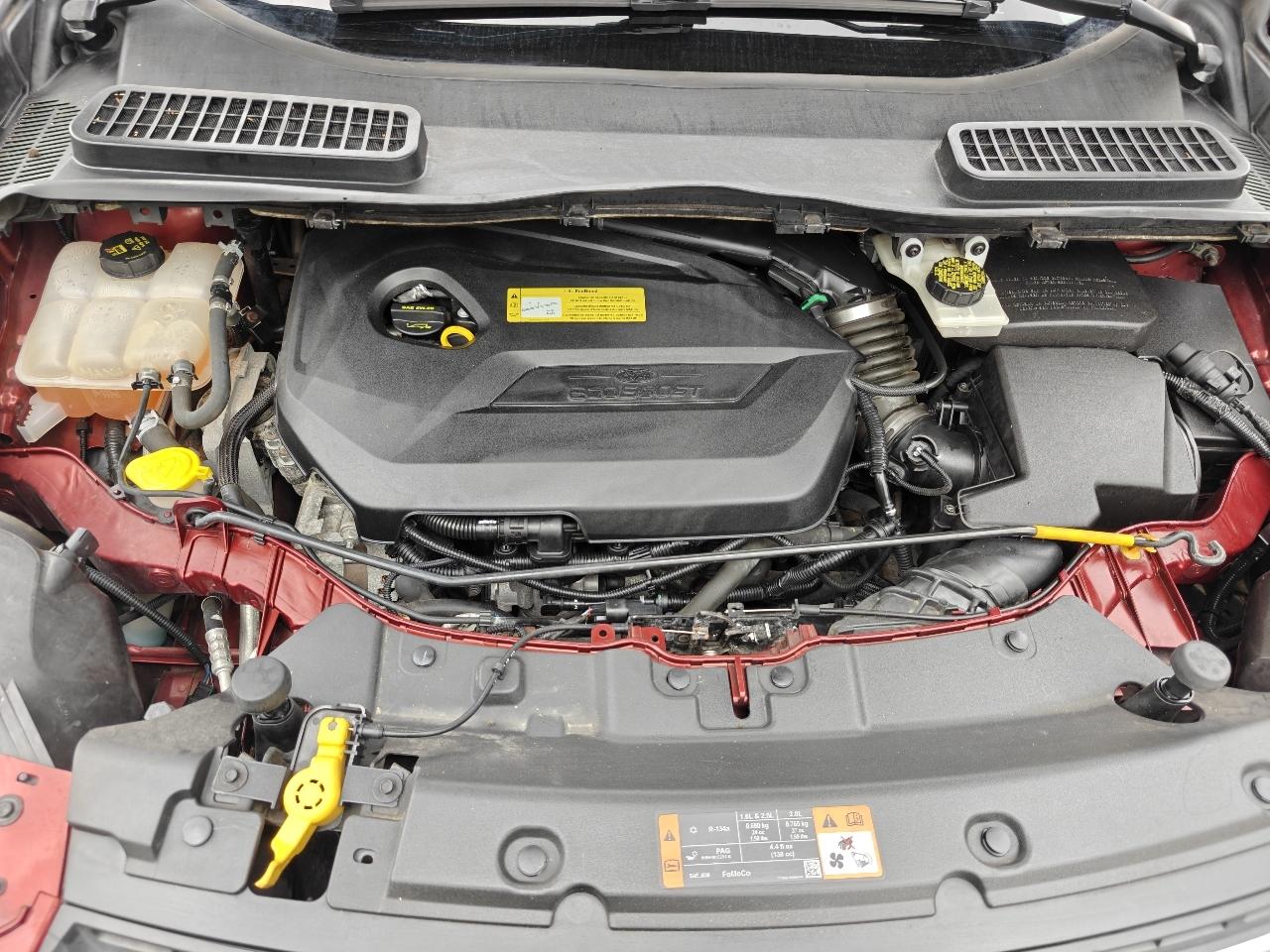 Ford Escape SE FWD 2014