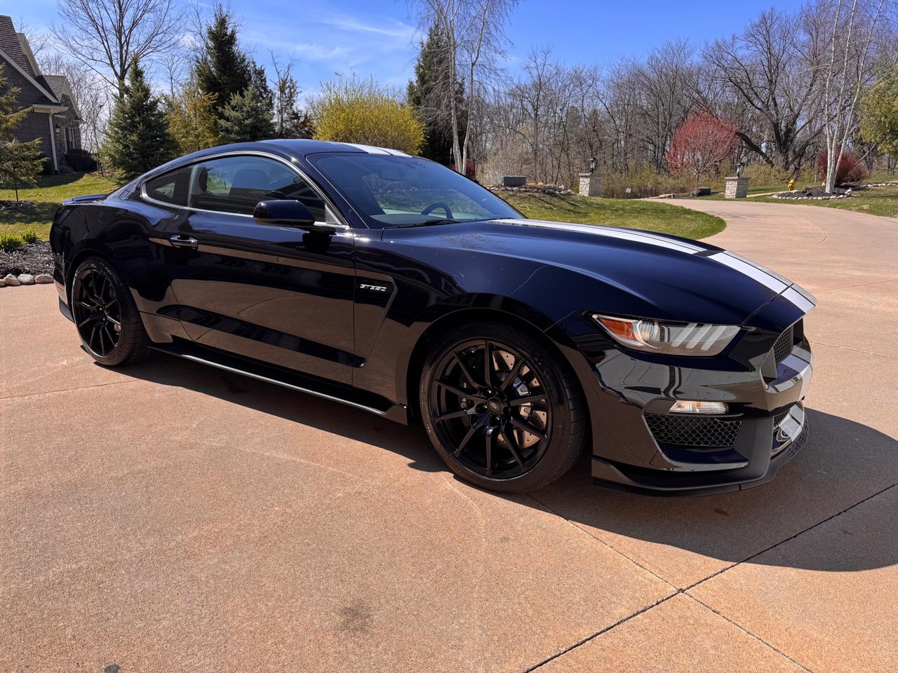 Ford Mustang 2dr Fastback Shelby GT350 2016