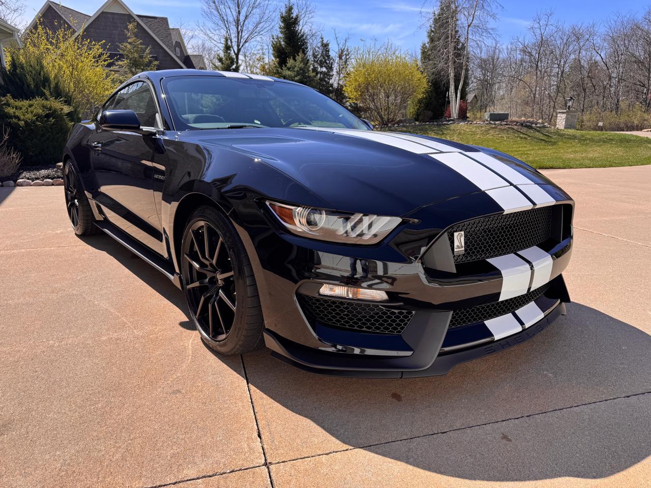 Ford Mustang 2dr Fastback Shelby GT350 2016
