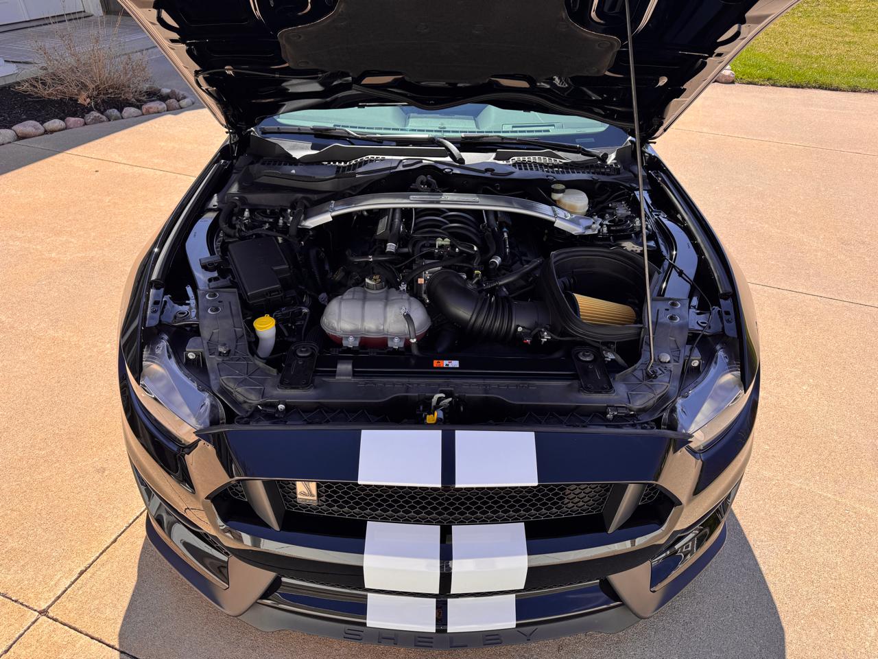 Ford Mustang 2dr Fastback Shelby GT350 2016