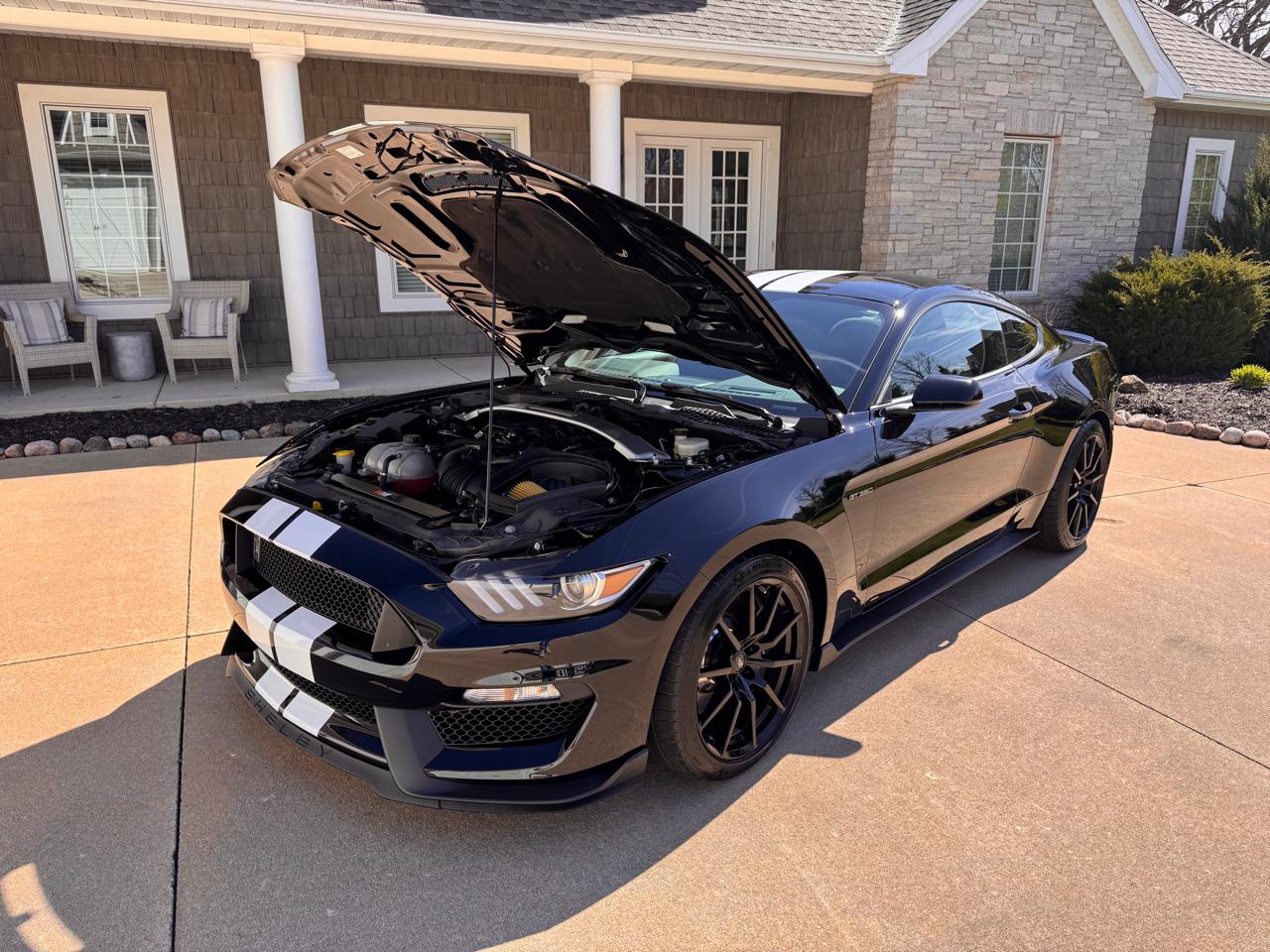 Ford Mustang 2dr Fastback Shelby GT350 2016