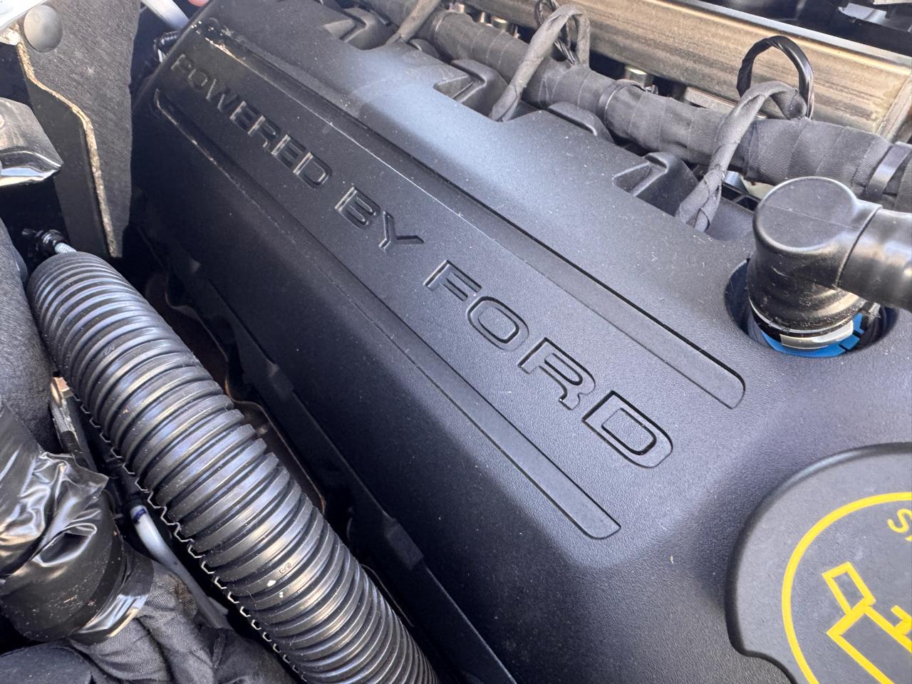 Ford Mustang 2dr Fastback Shelby GT350 2016