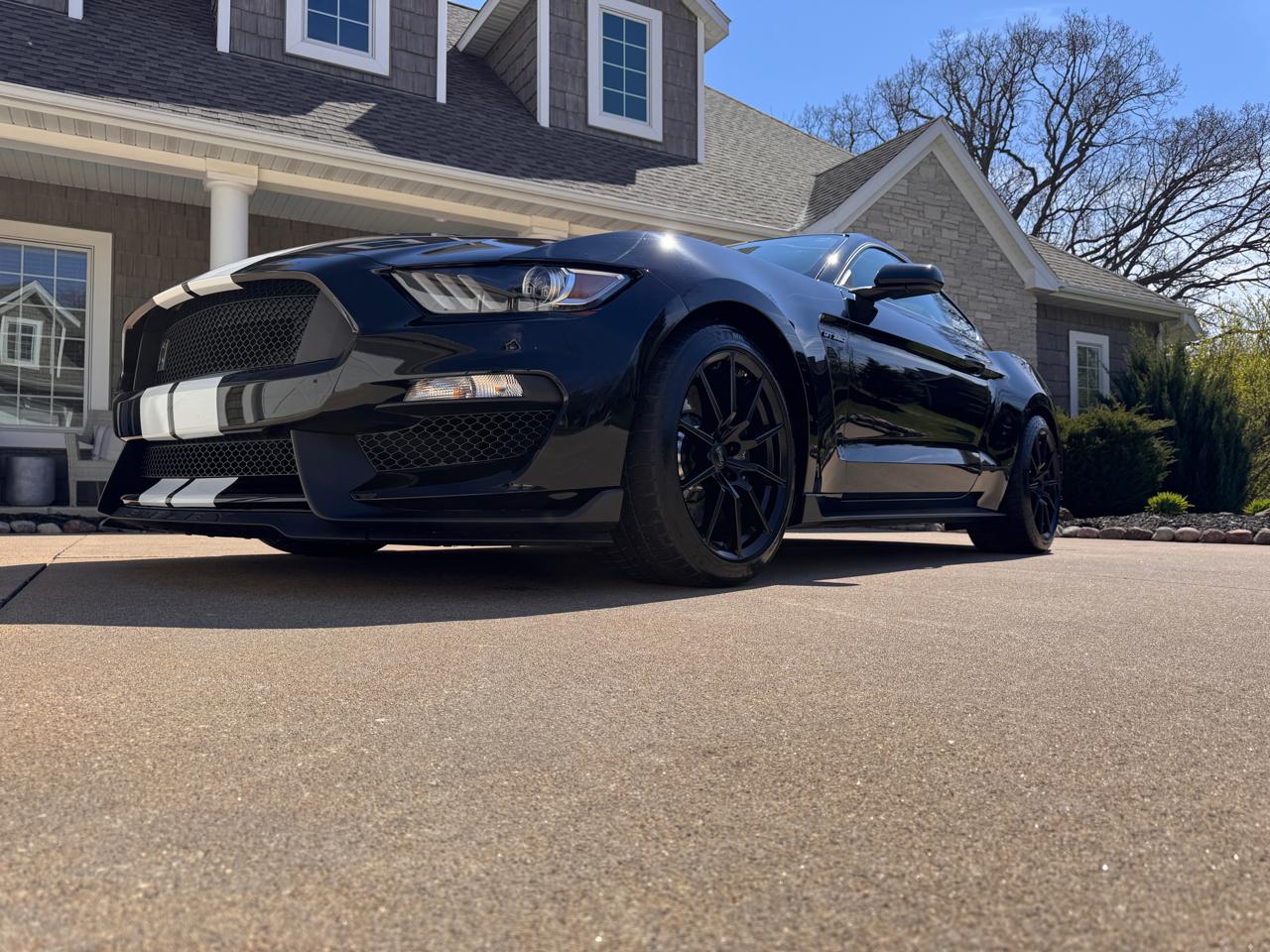 Ford Mustang 2dr Fastback Shelby GT350 2016