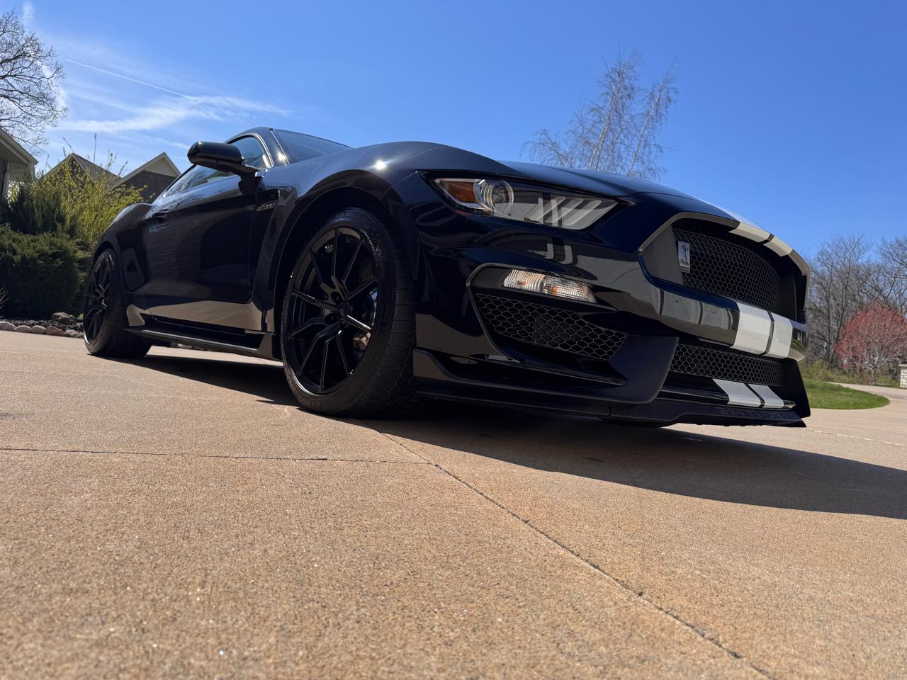 Ford Mustang 2dr Fastback Shelby GT350 2016