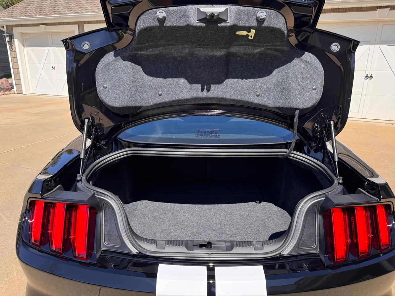 Ford Mustang 2dr Fastback Shelby GT350 2016