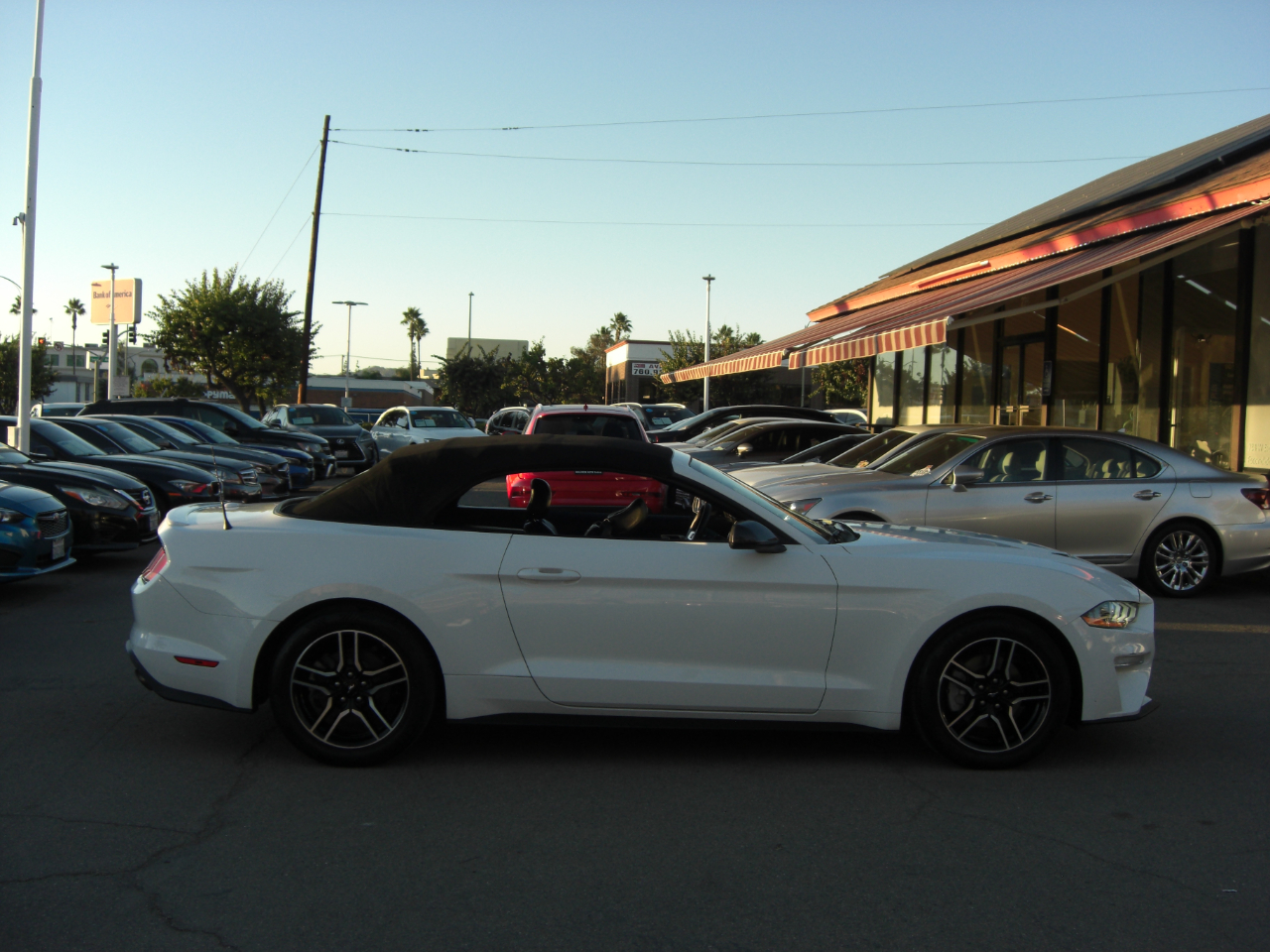 Ford Mustang EcoBoost Convertible 2018