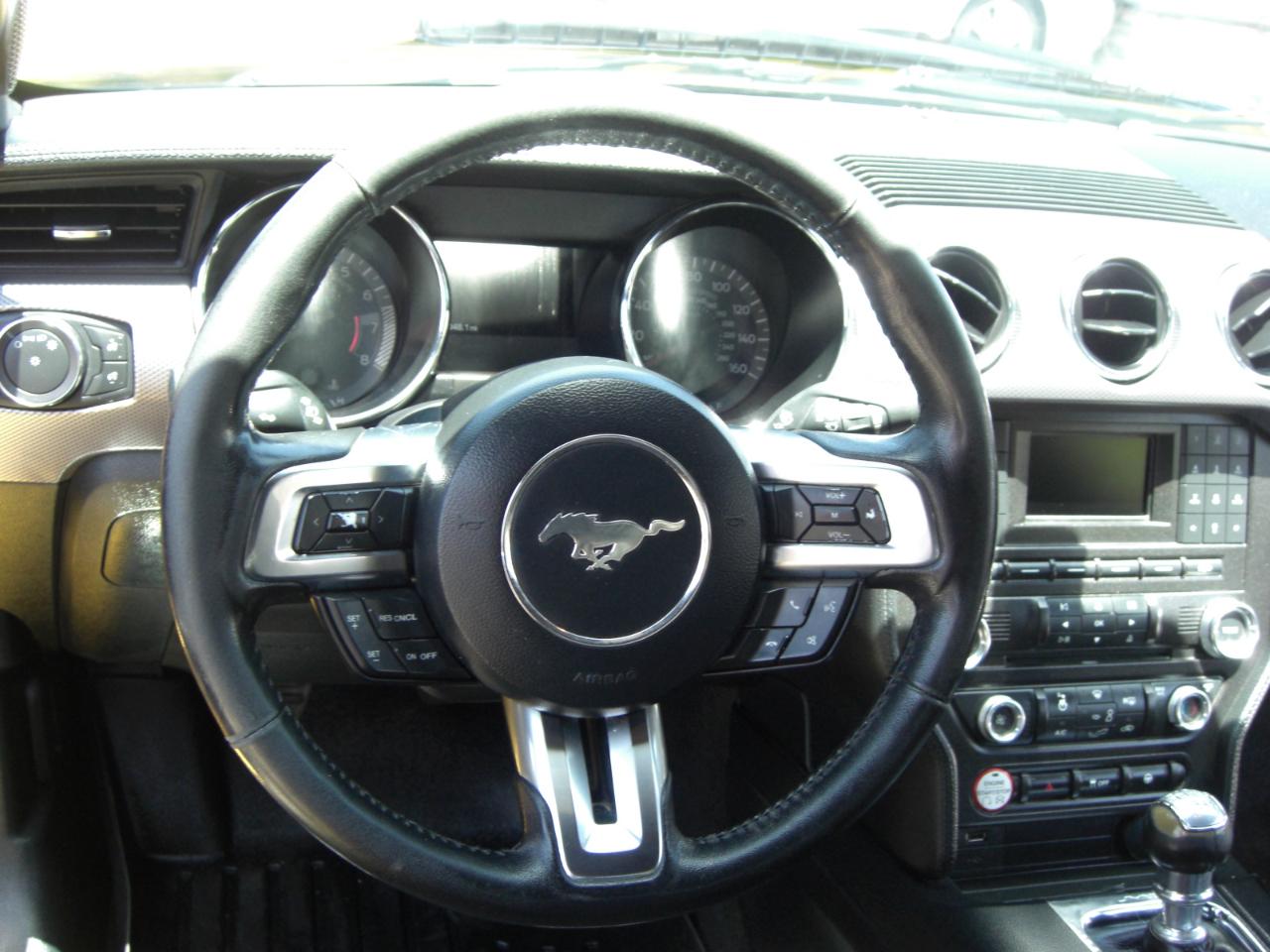 Ford Mustang EcoBoost Fastback 2017