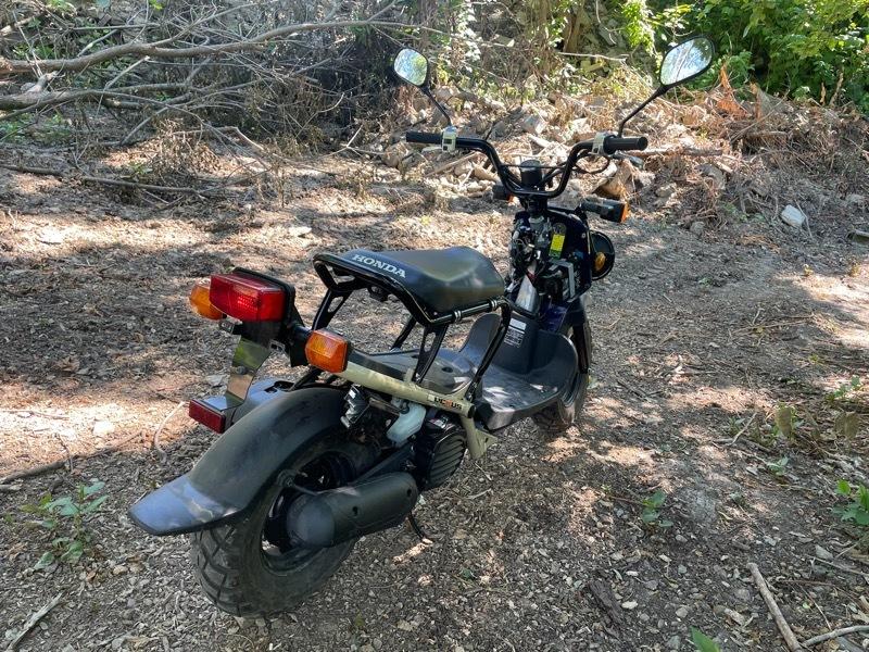 Used 2022 Honda NPS50 for Sale in PA 15644