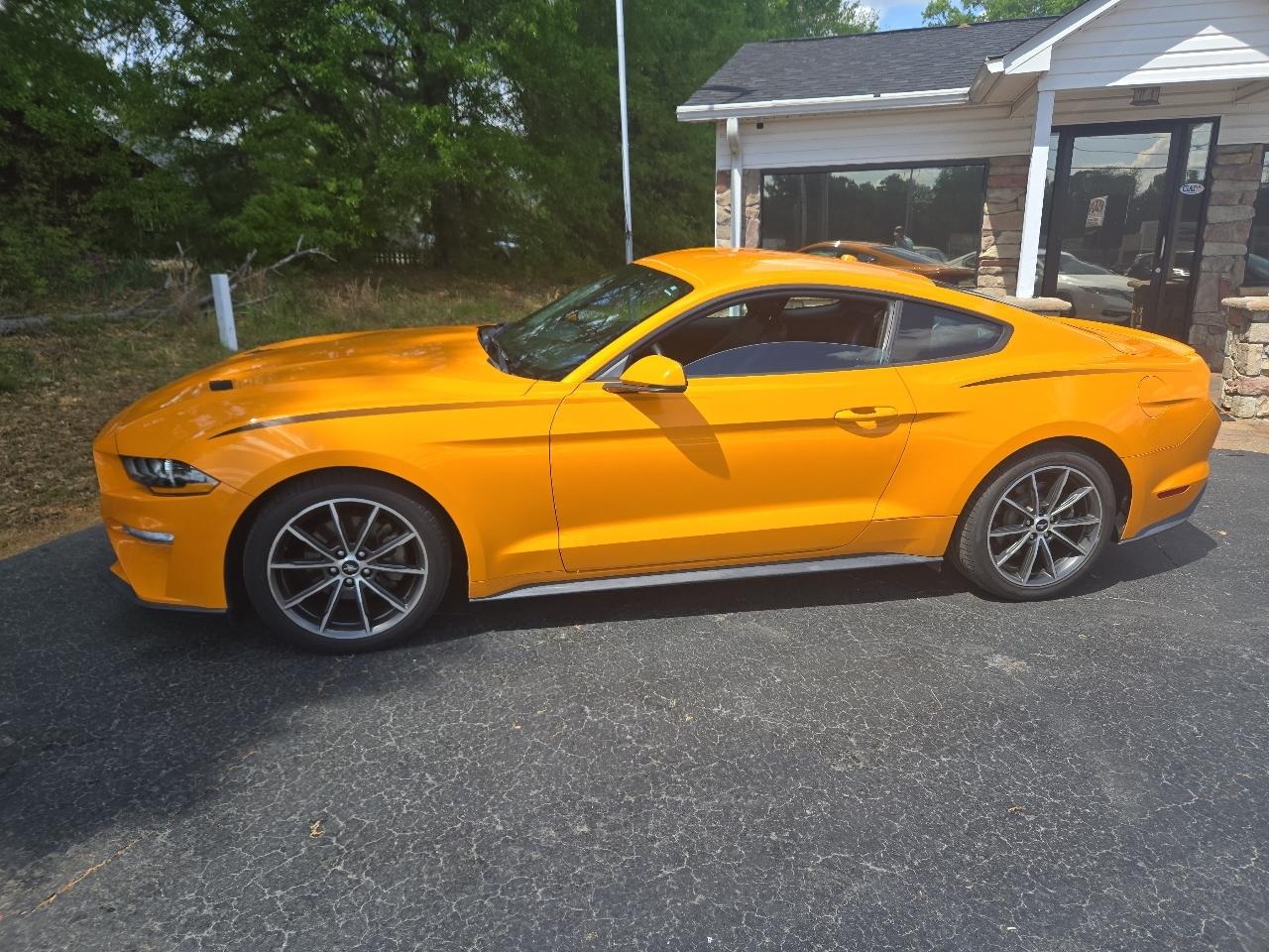 2019 Ford Mustang Eco Premium
