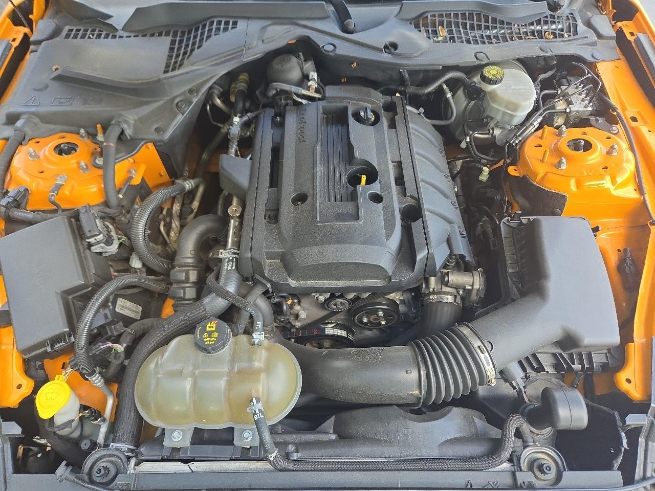 Ford Mustang Eco Premium 2019