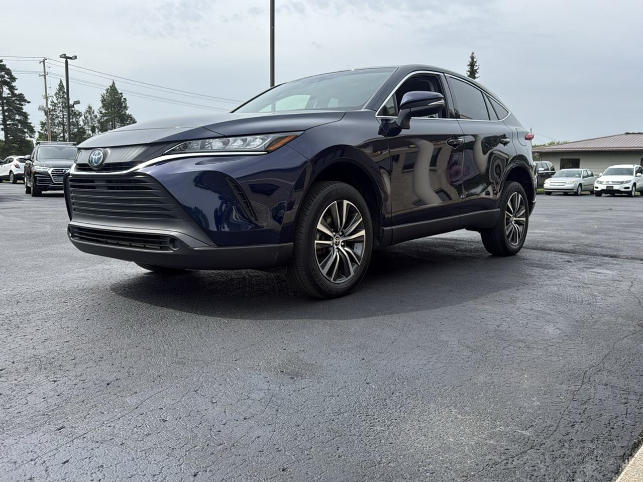 Toyota Venza Limited AWD (Natl) 2022