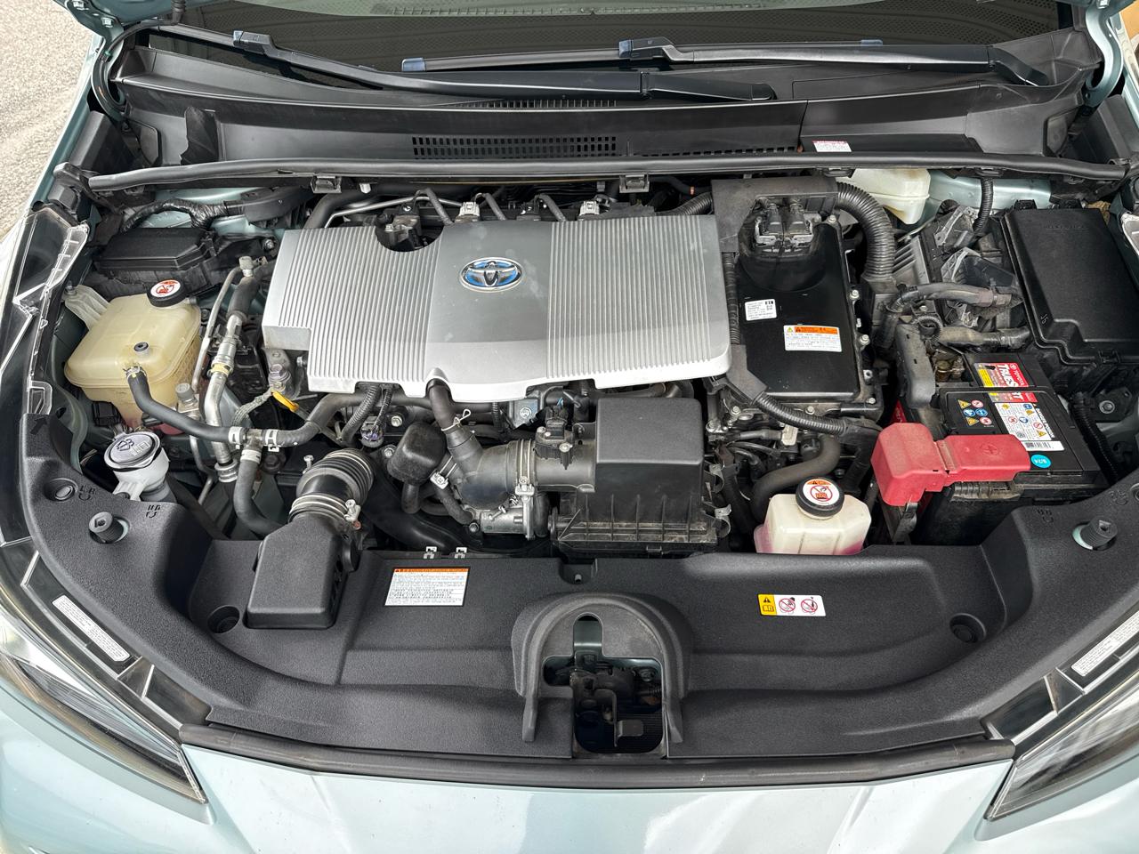 Toyota Prius XLE 2019