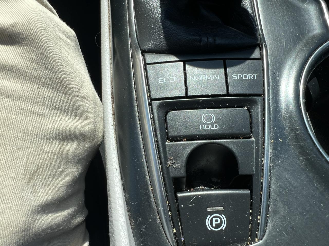 Toyota Camry XLE Auto (Natl) 2019