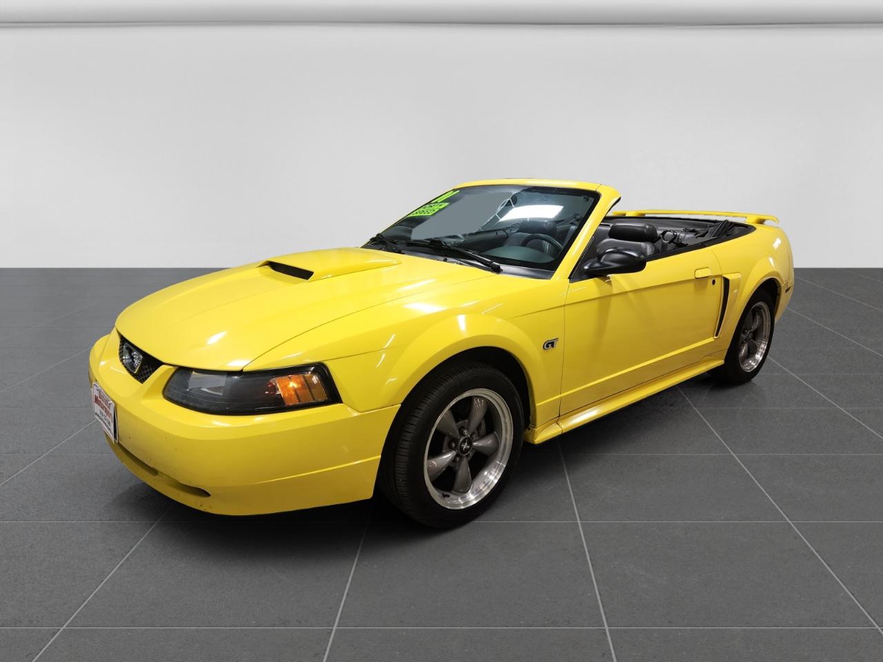 Ford Mustang GT Deluxe Convertible 2001