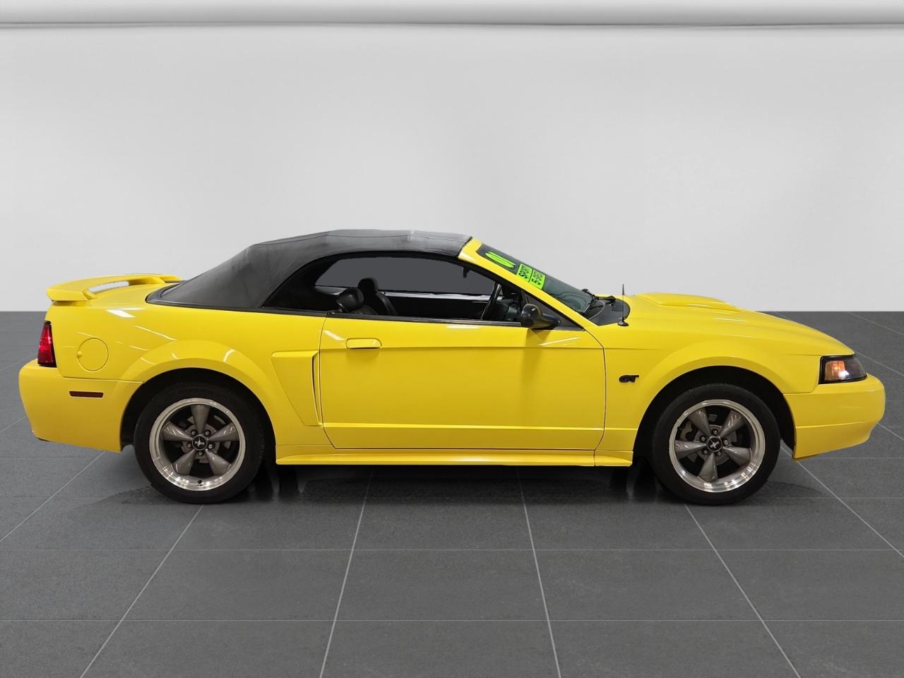 Ford Mustang GT Deluxe Convertible 2001