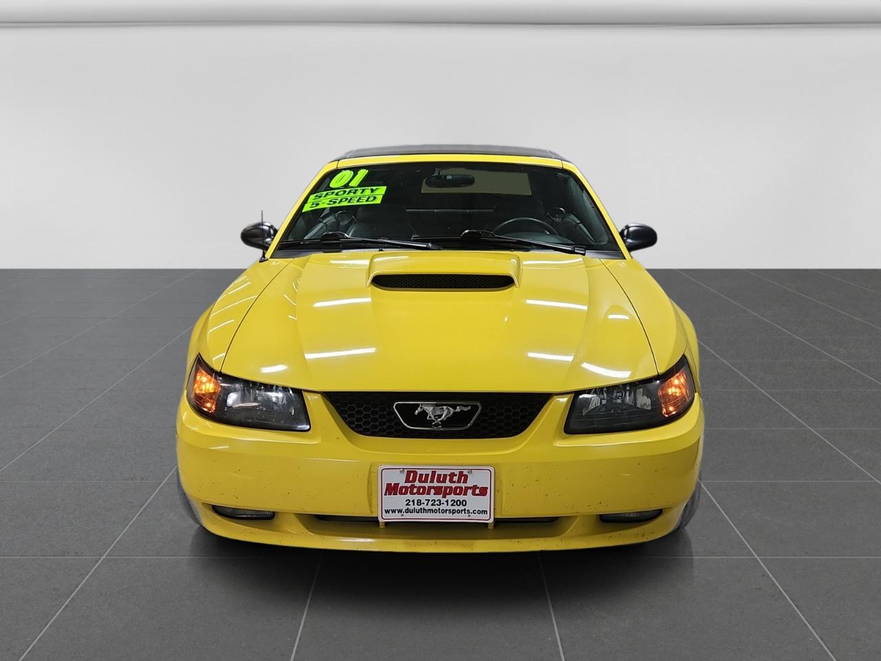 Ford Mustang GT Deluxe Convertible 2001