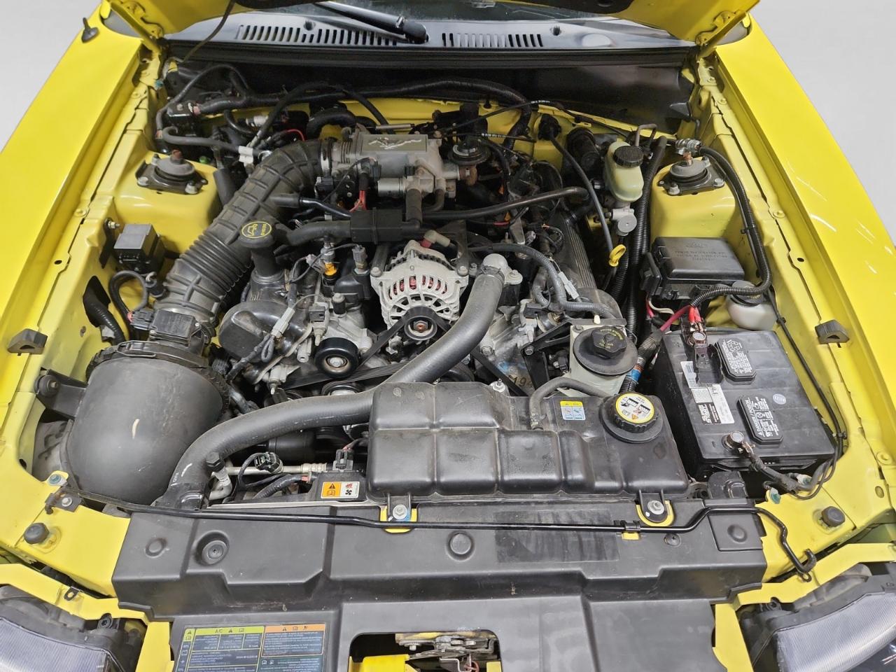 Ford Mustang GT Deluxe Convertible 2001