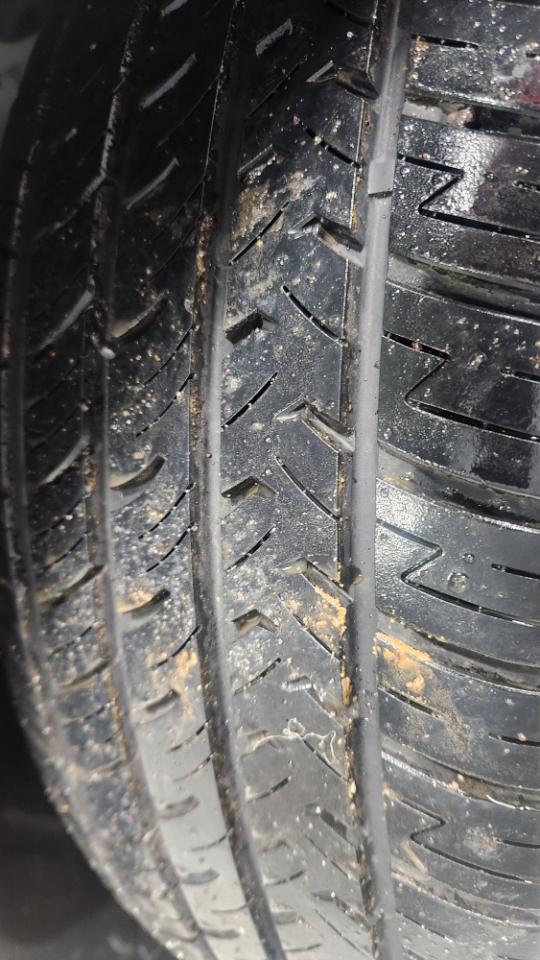 Dodge Challenger GT AWD 2022