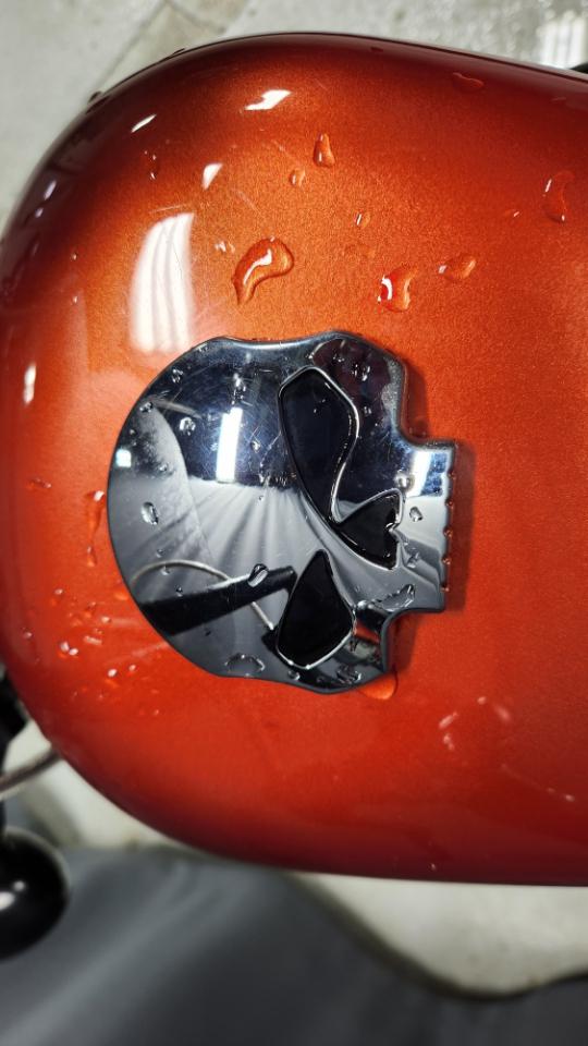 Harley-Davidson XL1200X  2011