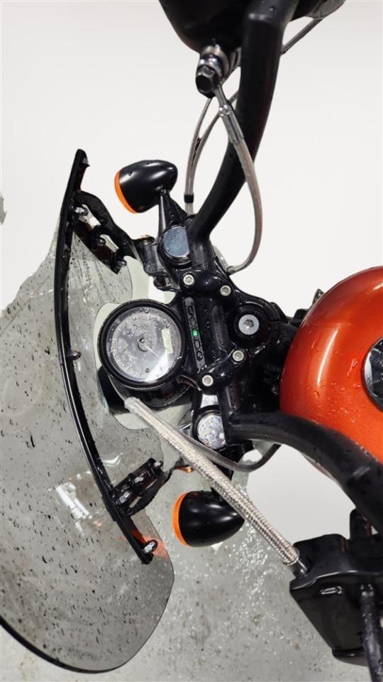 Harley-Davidson XL1200X  2011