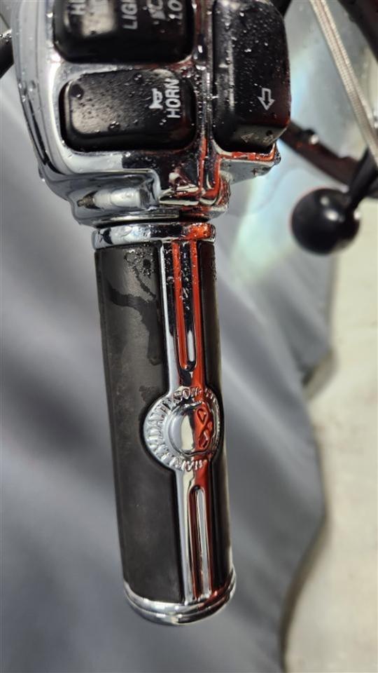 Harley-Davidson XL1200X  2011