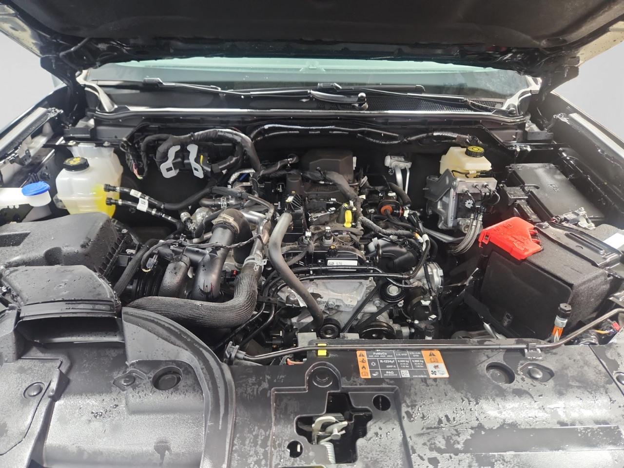 Ford Ranger XLT SuperCrew 4WD 2024