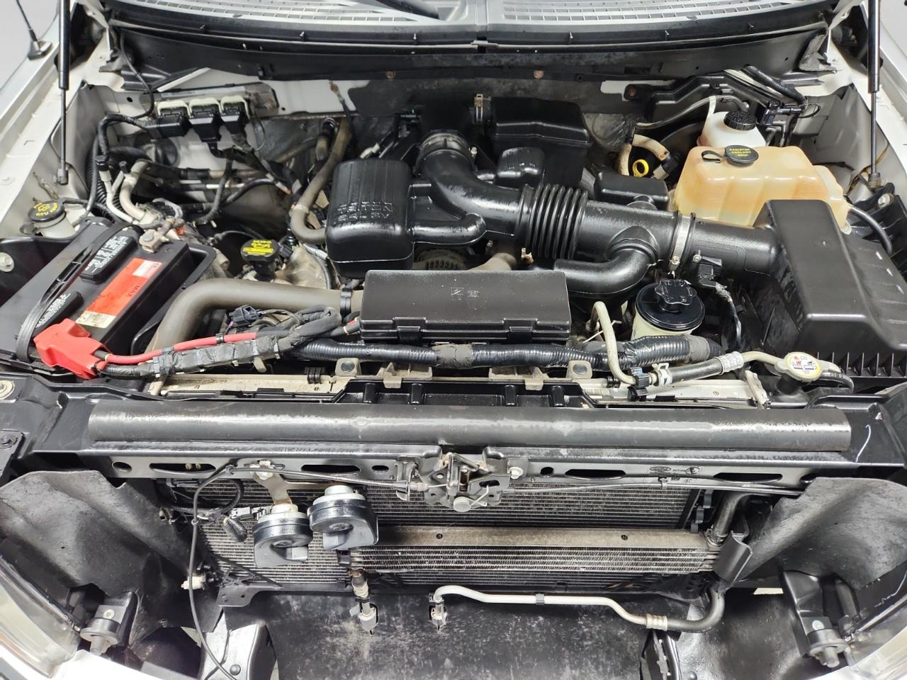 Ford F-150 XLT SuperCrew 5.5-ft. Bed 4WD 2010