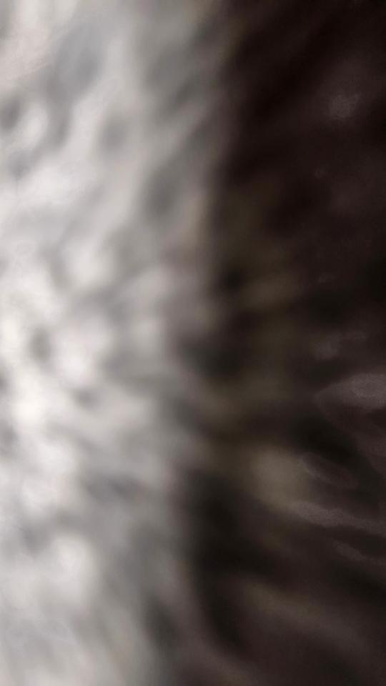 Lund 1675 Impact  2012