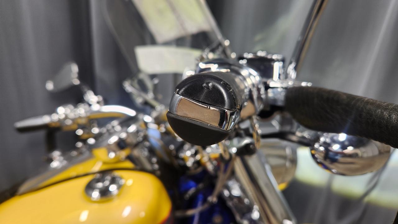Harley-Davidson FLSTFSE2  2006