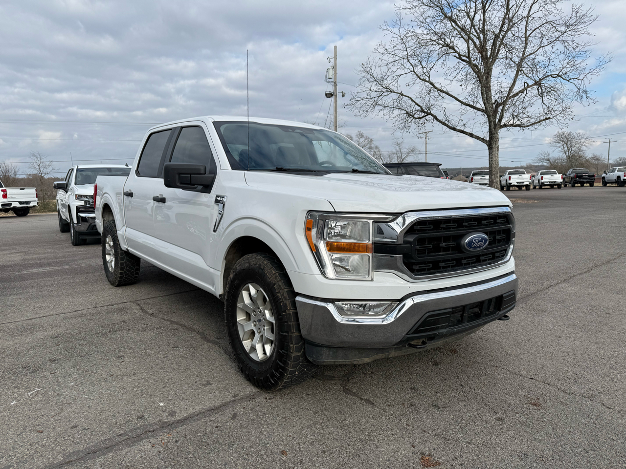 Ford F-150 XLT SuperCrew 4WD 2021
