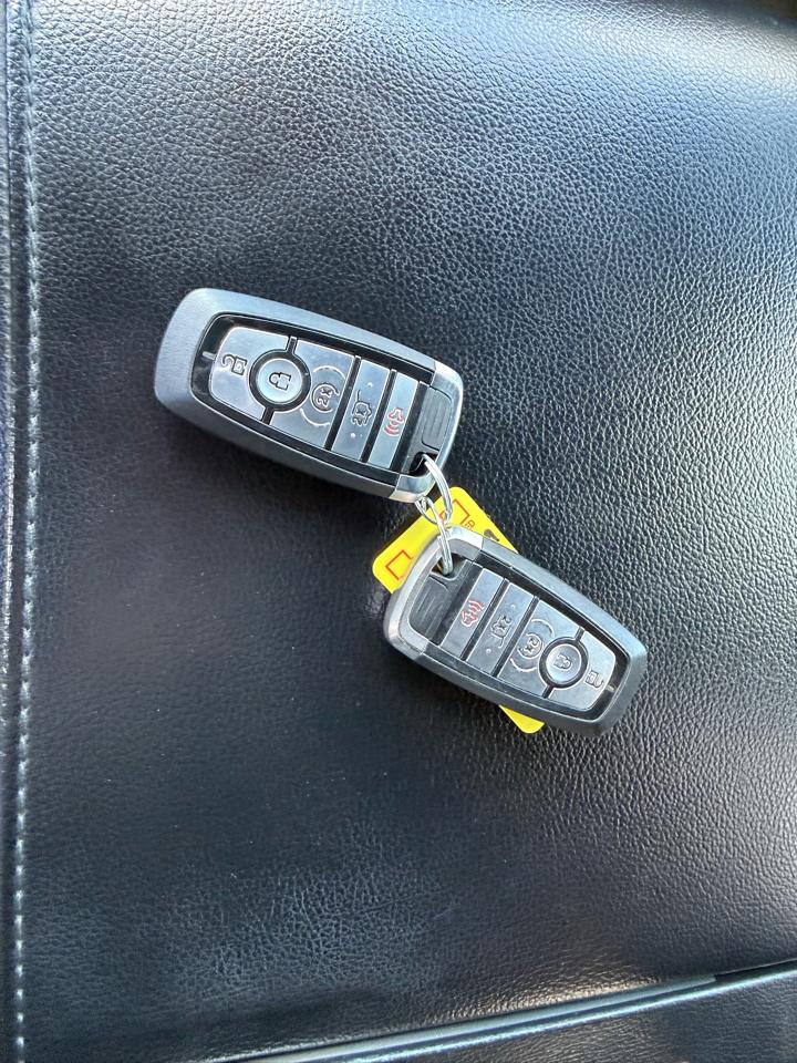 Ford Expedition XLT 2WD 2020