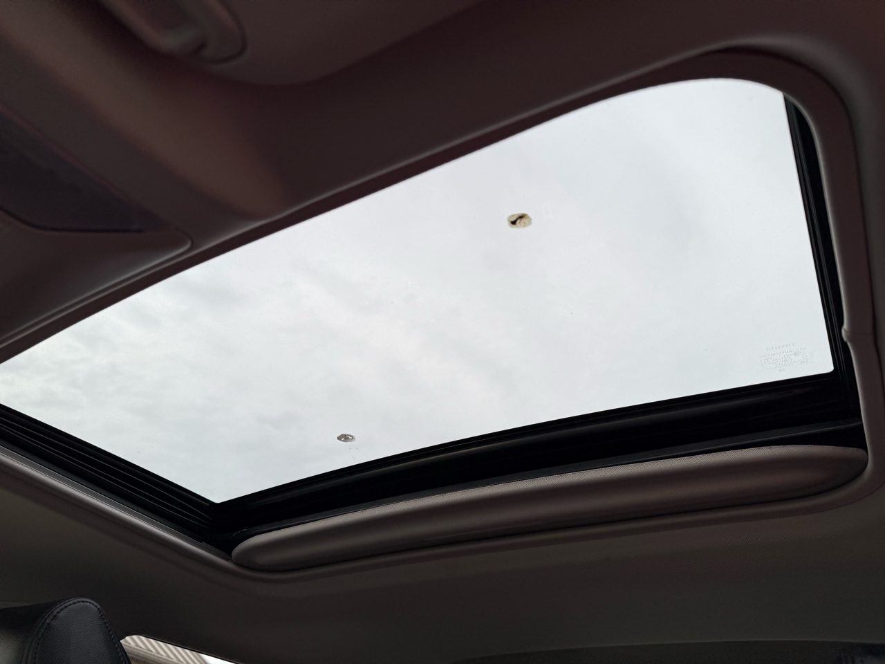 Toyota RAV4 XLE 2019