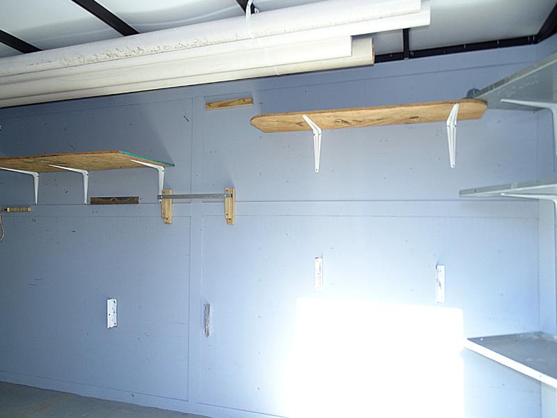 Homesteader Intrepid  2025