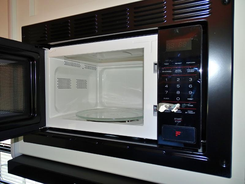 Keystone Cougar  2024