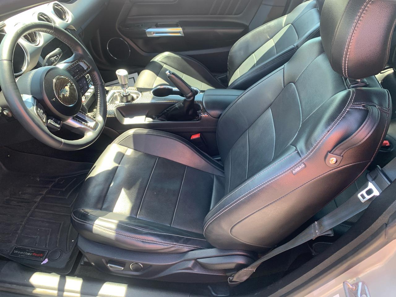 Ford Mustang EcoBoost Fastback 2018