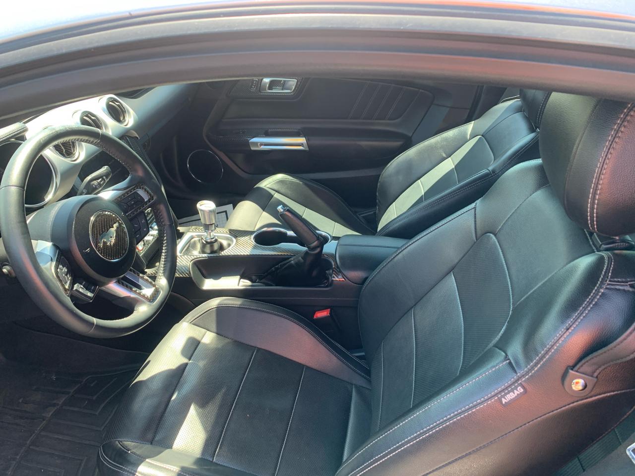 Ford Mustang EcoBoost Fastback 2018