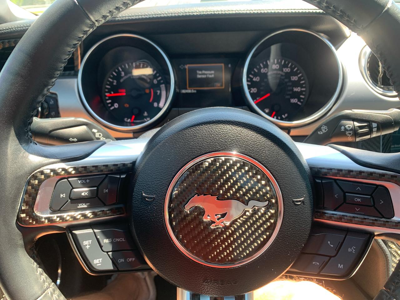 Ford Mustang EcoBoost Fastback 2018