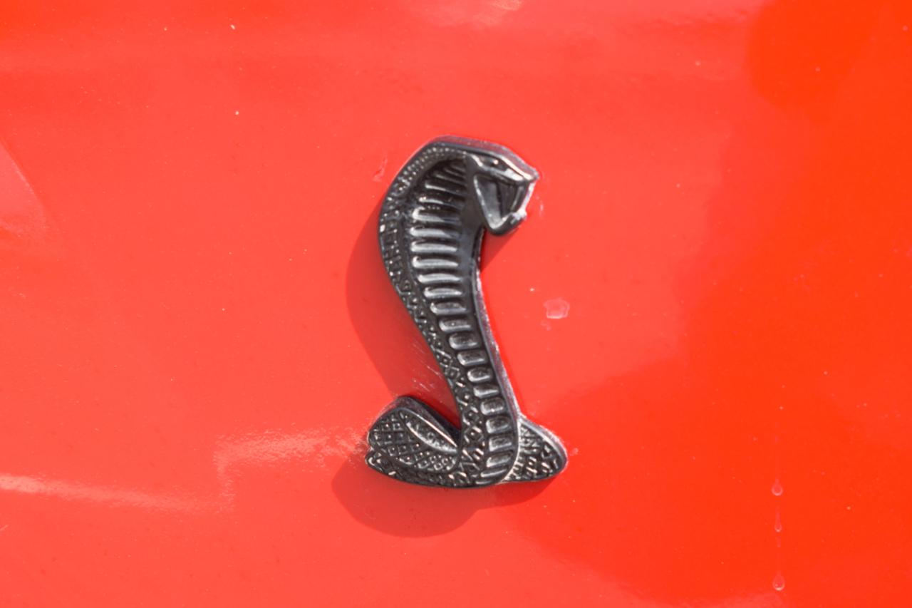 Ford Mustang Cobra Coupe 1999