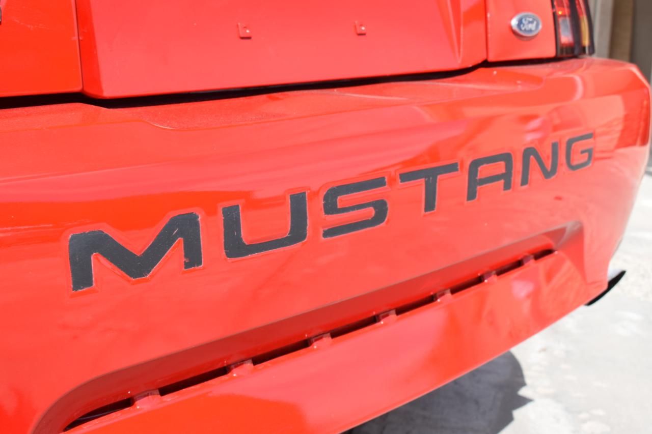 Ford Mustang Cobra Coupe 1999