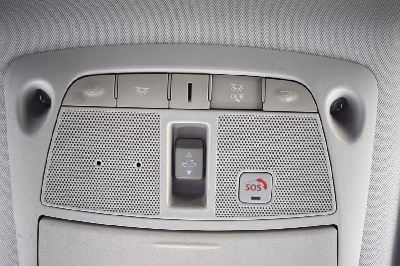 Infiniti QX80 LUXE 2019