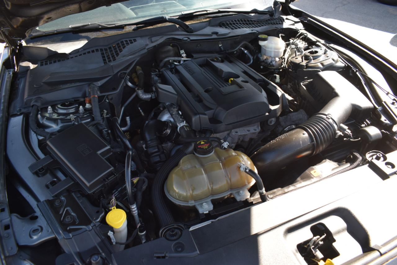 Ford Mustang EcoBoost Coupe 2015