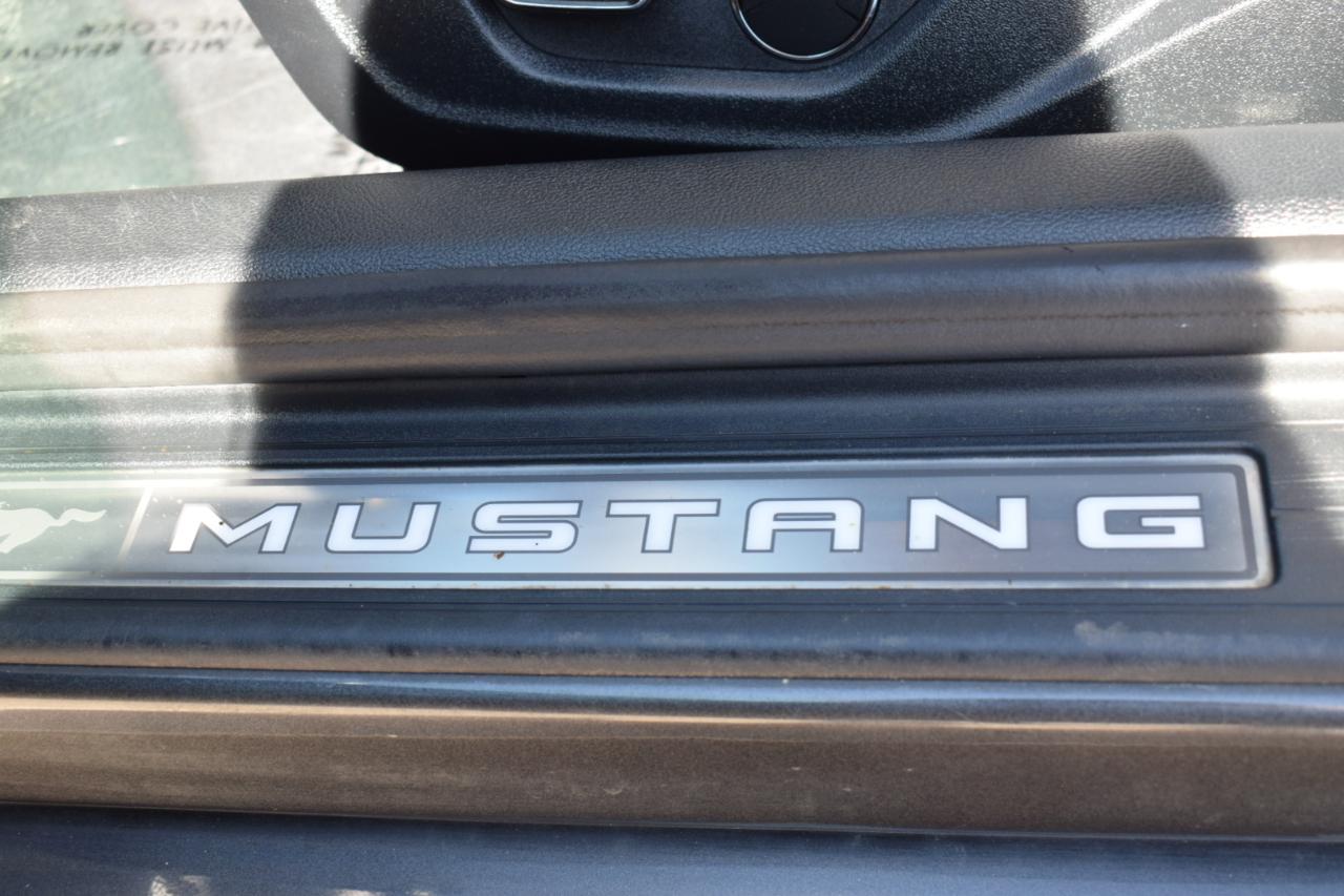 Ford Mustang EcoBoost Coupe 2015