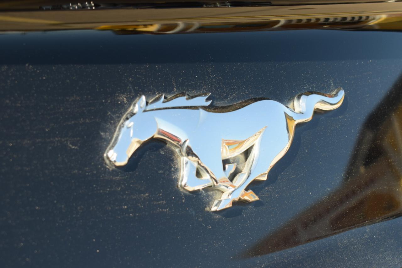 Ford Mustang EcoBoost Coupe 2015