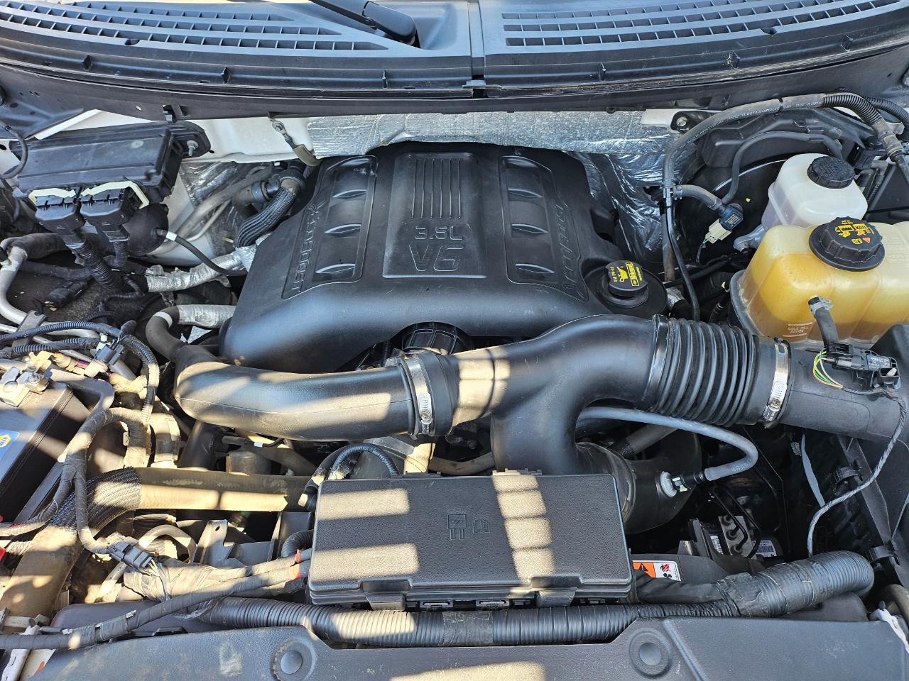 Ford F-150 4WD SuperCrew 145" Platinum 2012