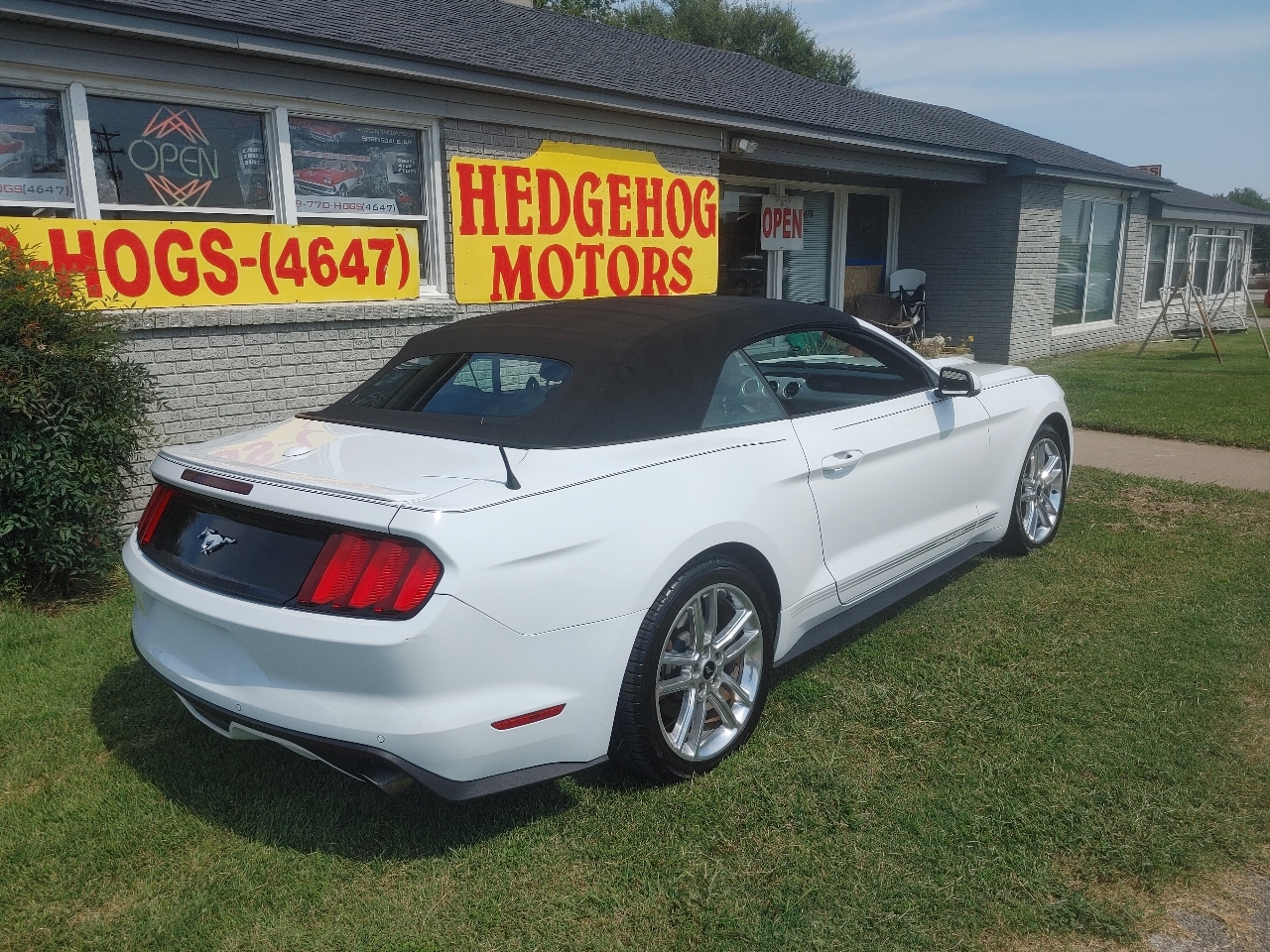 Ford Mustang EcoBoost Premium Convertible 2016 Ford Mustang EcoBoost Premium Convertible 2016