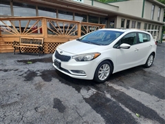 2014 Kia Forte 5-Door 