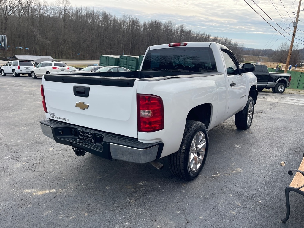 Chevrolet Silverado 1500 2WD Reg Cab 119.0" Work Truck 2007